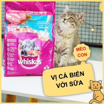 hat whiskas cho meo 4