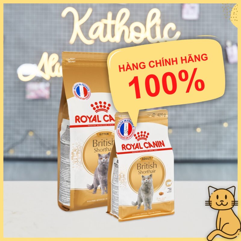 thuc an cho meo anh truong thanh royal canin2