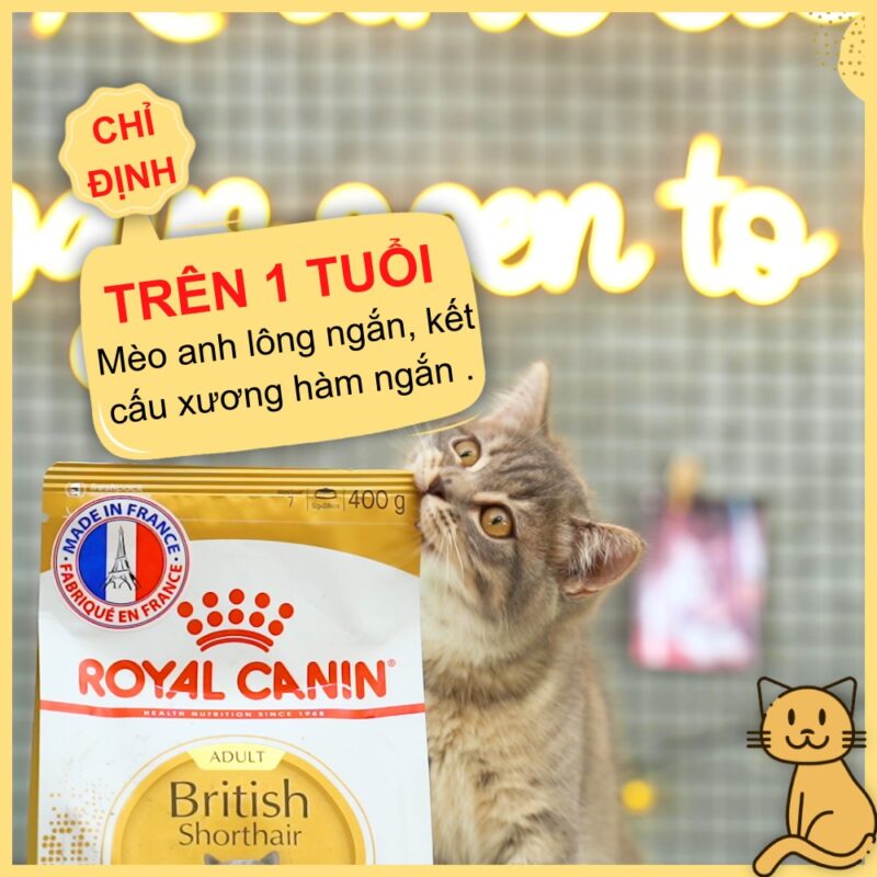 thuc an cho meo anh truong thanh royal canin3