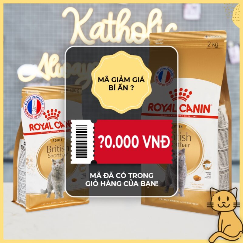 thuc an cho meo anh truong thanh royal canin5