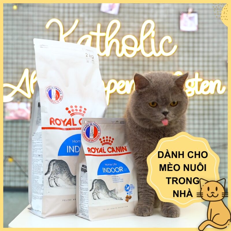 thuc an cho meo song trong nha royal canin indoor 1