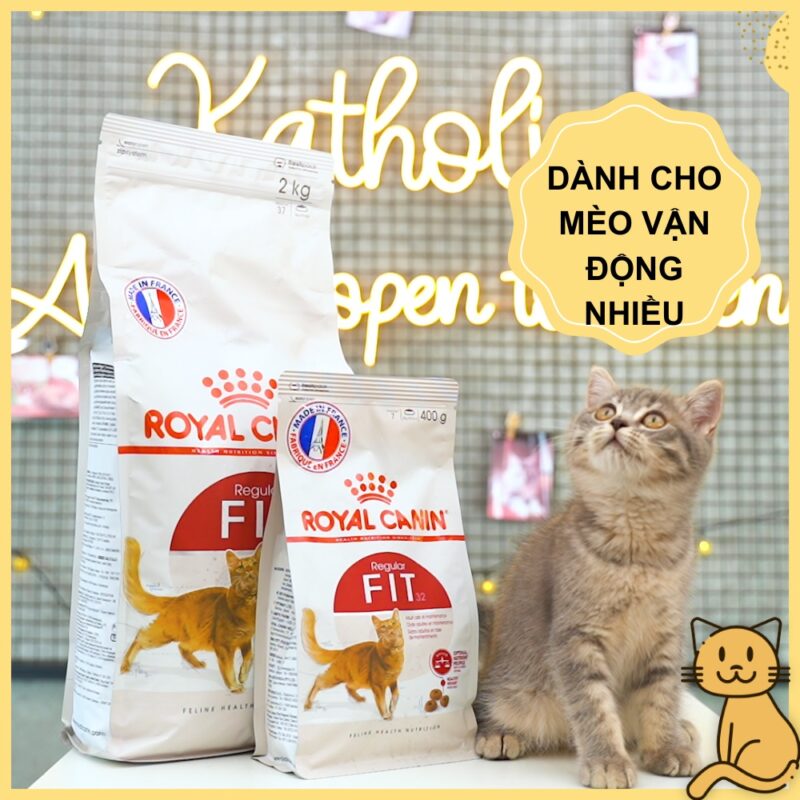 thuc an cho meo tha rong royal canin fit 32 1