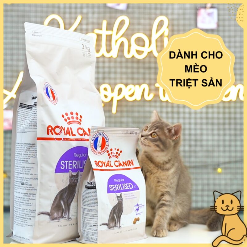 thuc an royal canin sterilised 37 cho meo triet san 1